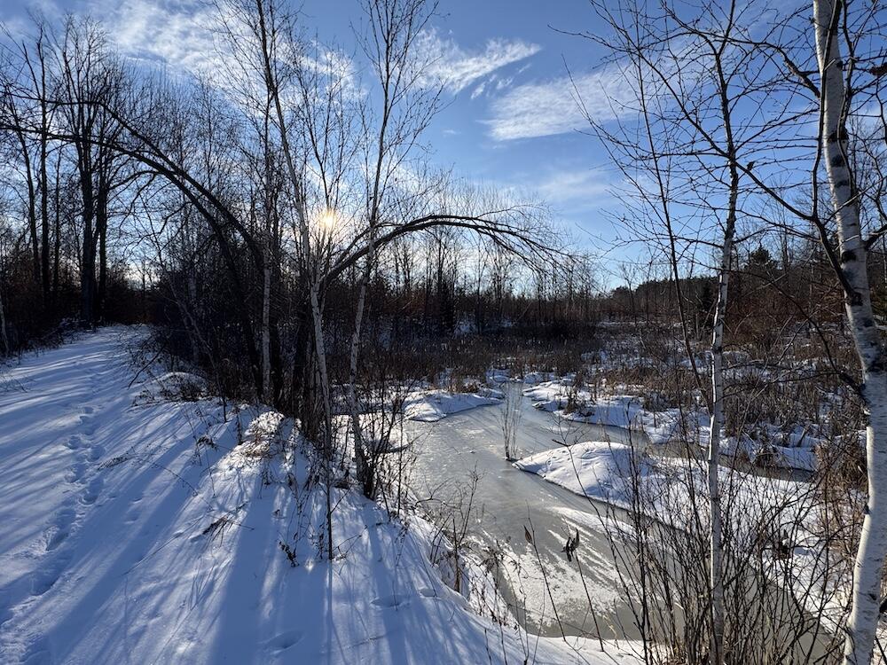 152-acres West Miller Road Mio, MI 48647 - Photo 77 of 137 IMG_9291 2