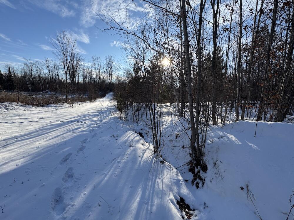 152-acres West Miller Road Mio, MI 48647 - Photo 78 of 137 IMG_9292 2