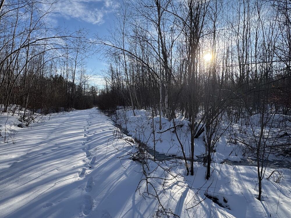 152-acres West Miller Road Mio, MI 48647 - Photo 84 of 137 IMG_9307 3