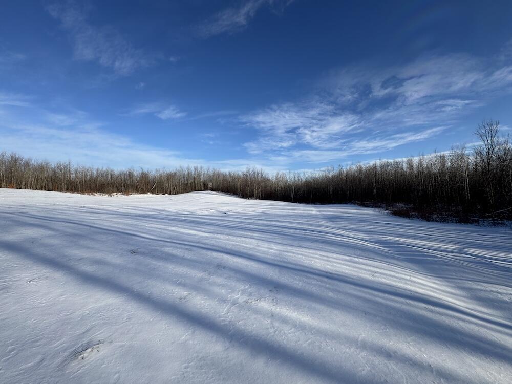 152-acres West Miller Road Mio, MI 48647 - Photo 85 of 137 IMG_9308 3