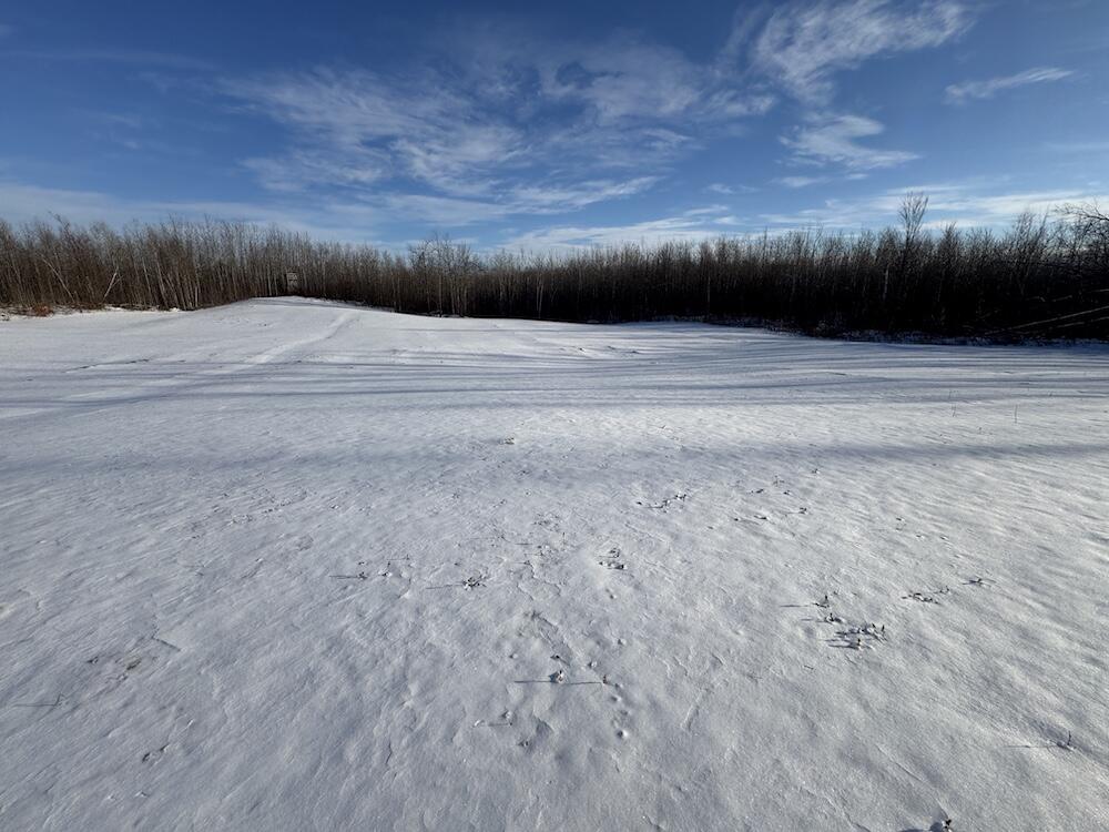 152-acres West Miller Road Mio, MI 48647 - Photo 87 of 137 IMG_9310 3