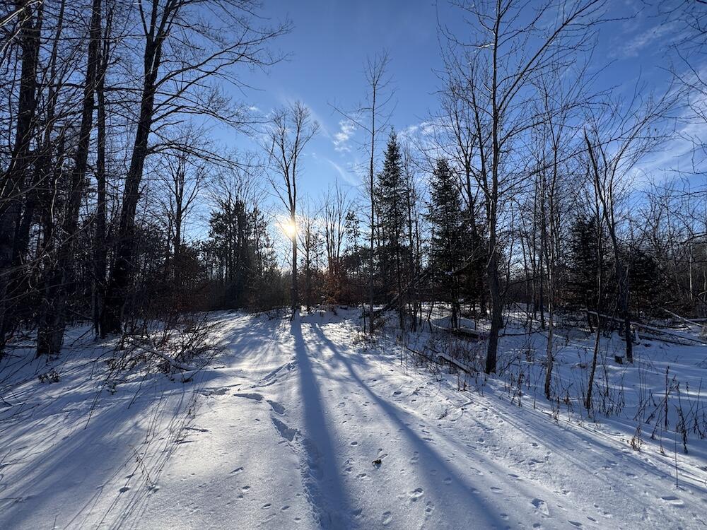152-acres West Miller Road Mio, MI 48647 - Photo 10 of 137 8(1)