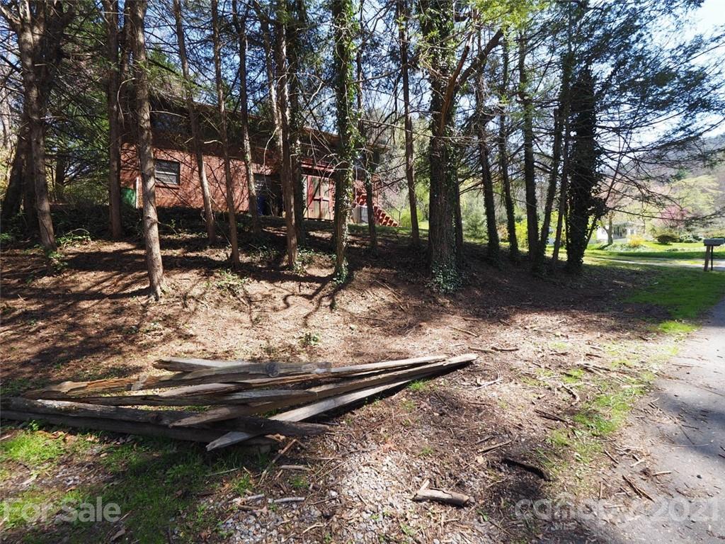6 Spring Cove Road Asheville, NC 28804 - Photo 21 of 24 Gallery Image 21