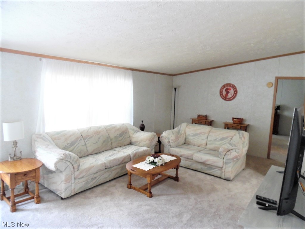 6164 Anderson Road Fleming, OH 45729 - Photo 4 of 19 Living Room
