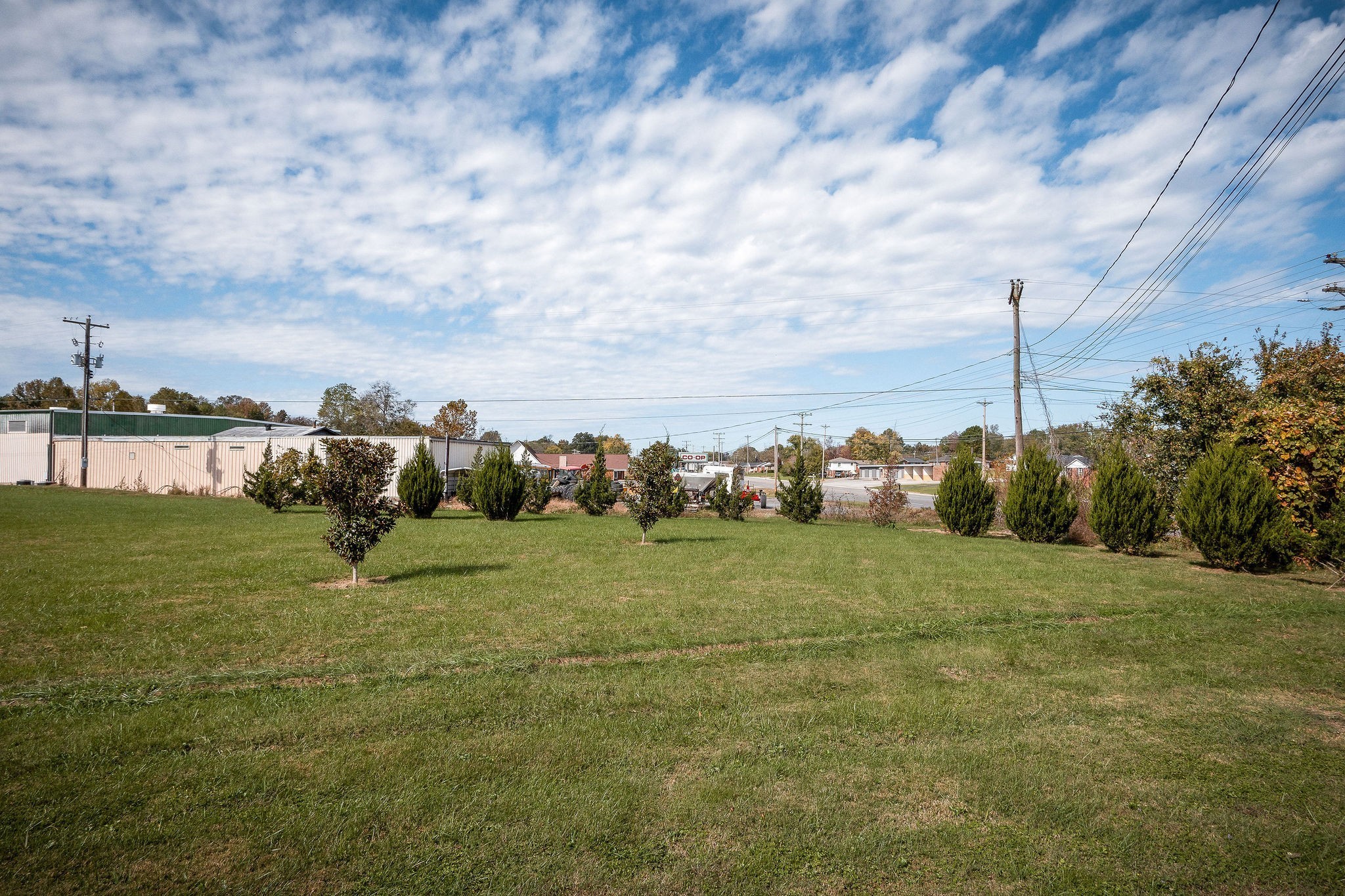 401 Whaley Street Smithville, TN 37166 - Photo 23 of 37 a view of a field with an trees