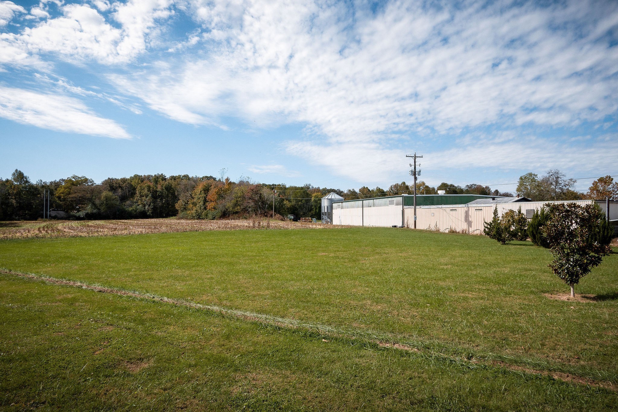 401 Whaley Street Smithville, TN 37166 - Photo 24 of 37 a view of a lake with a big yard