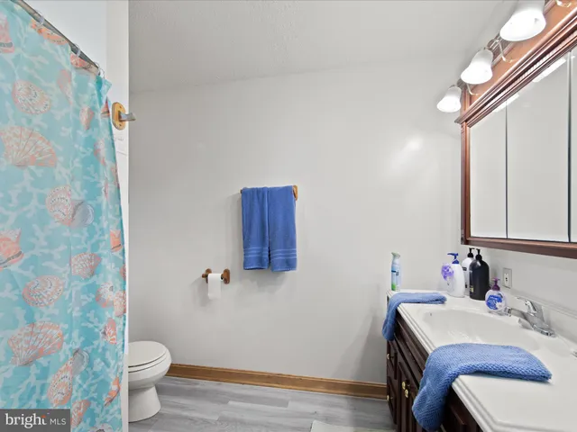 a bathroom with a sink toilet and mirror