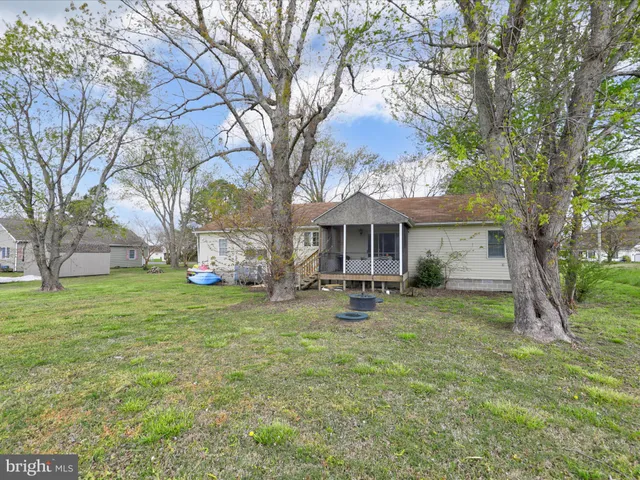 a view of a yard with trees