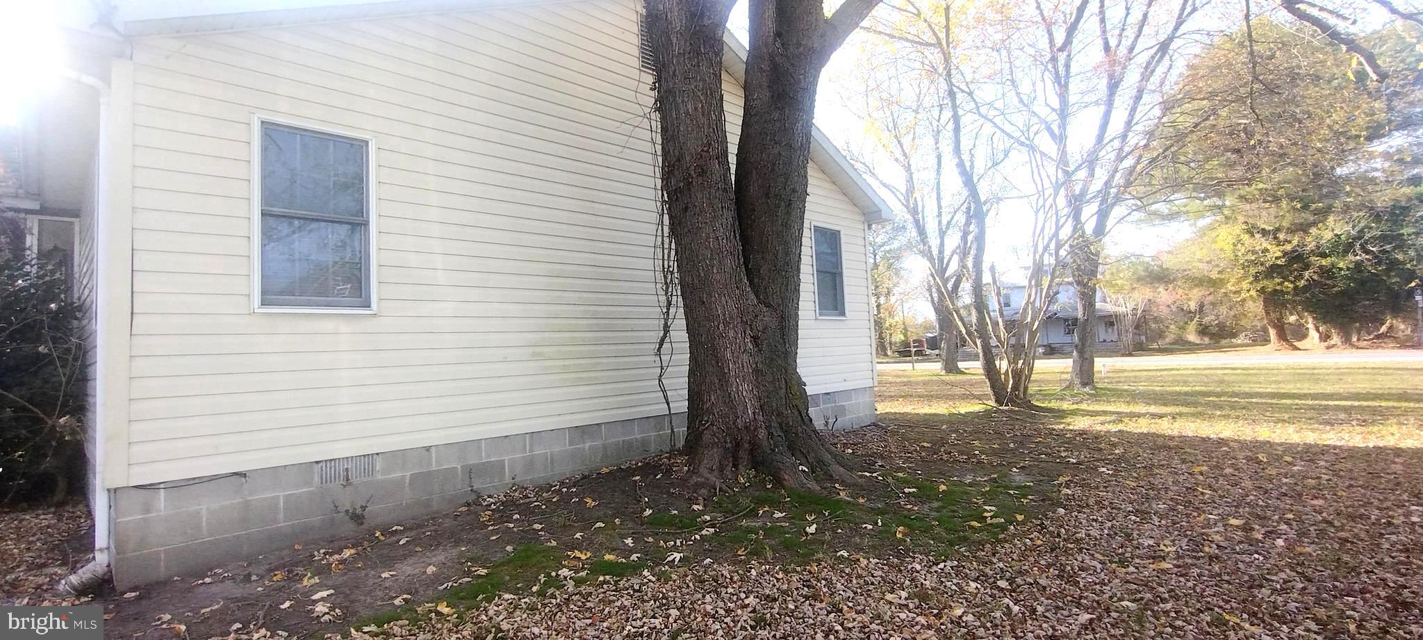 23451 Deal Island Road Deal Island, MD 21821 - Photo 46 of 49 a view of a yard with trees