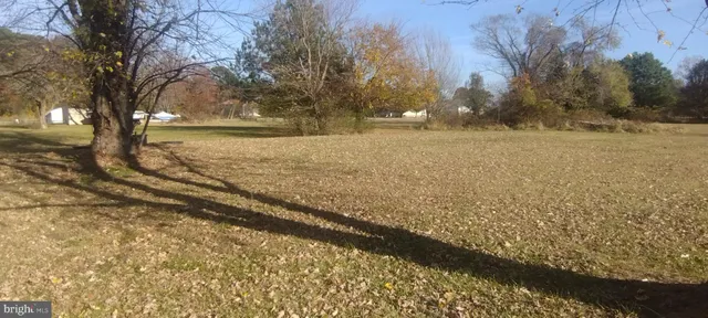 a view of a yard with an outdoor space