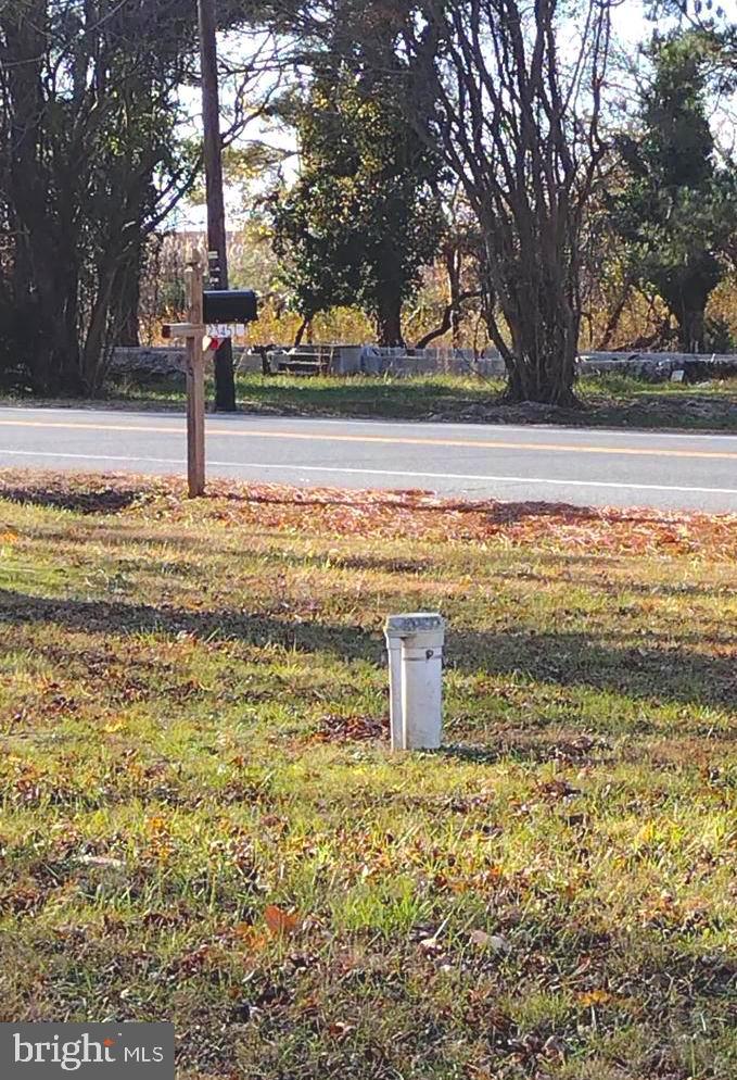 23451 Deal Island Road Deal Island, MD 21821 - Photo 49 of 49 a view of a yard with an outdoor space