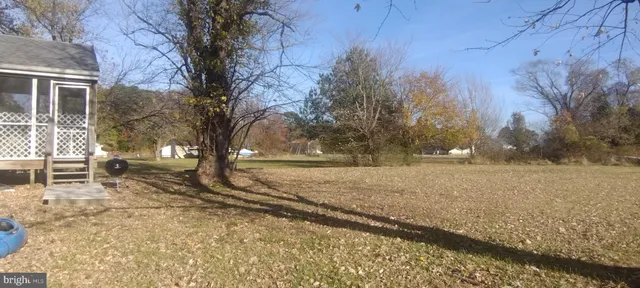 a view of yard with trees