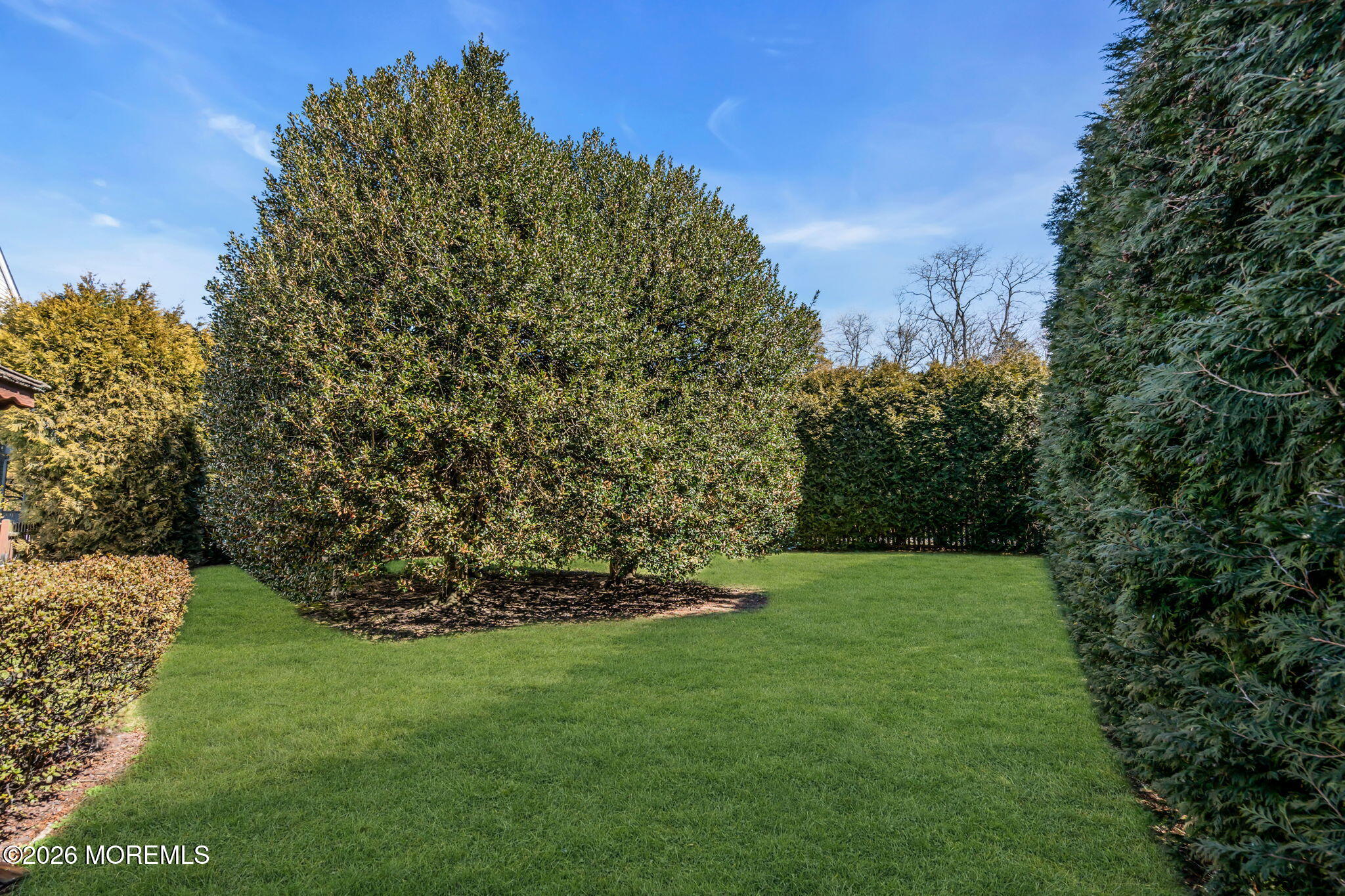 1 Wendy Court Jackson, NJ 08527 - Photo 32 of 33 a view of a green field