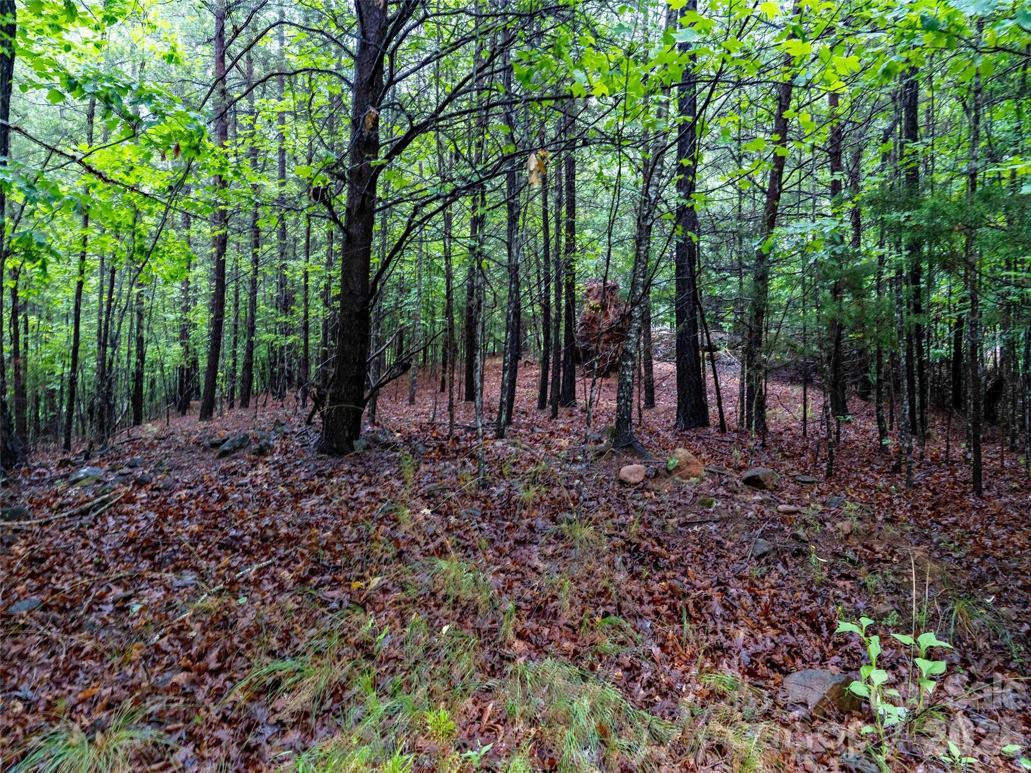 0 Bee Gee Drive Rutherfordton, NC 28139 - Photo 9 of 26