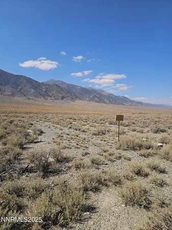 a view of a sky from a yard