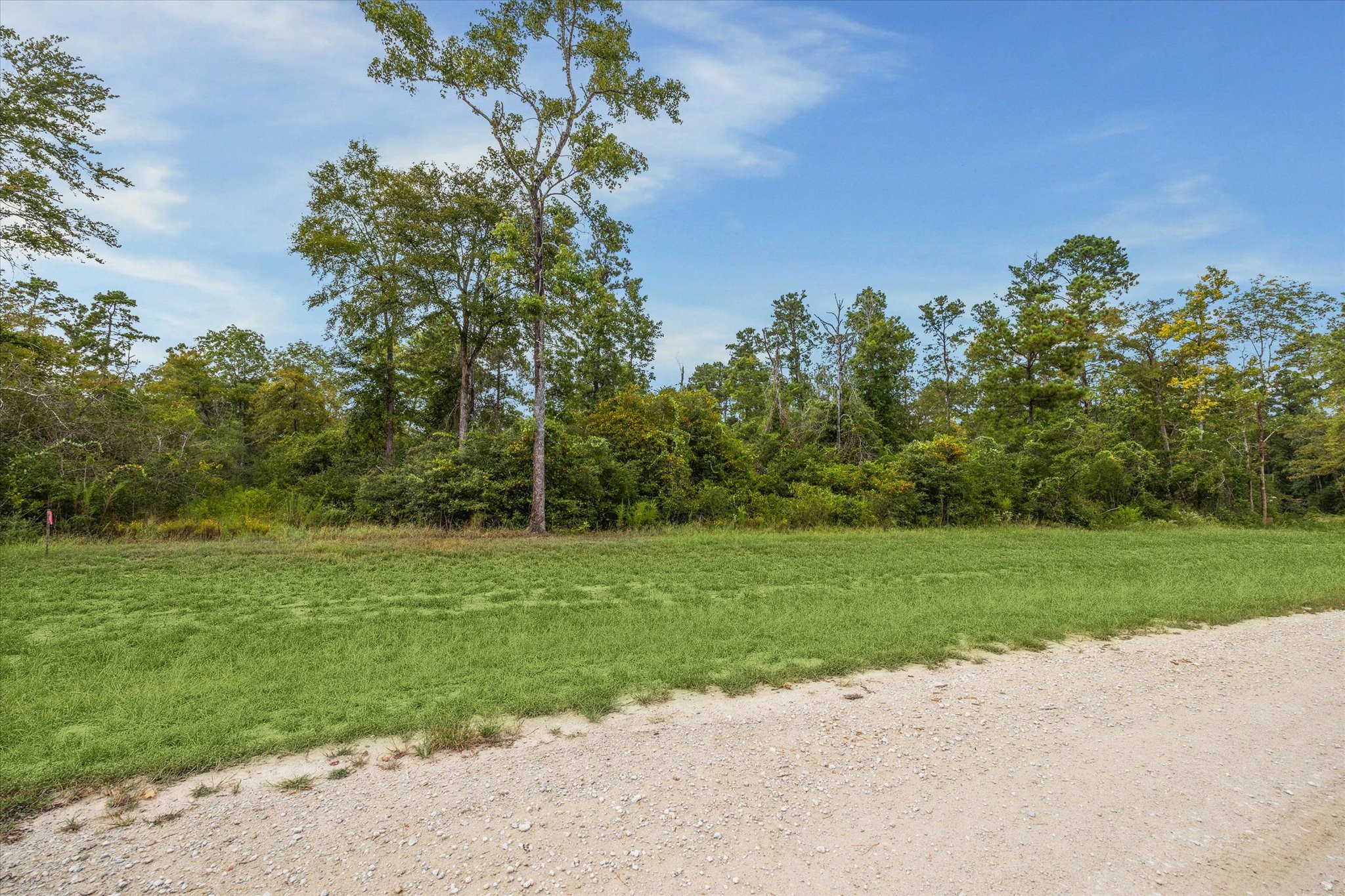 11567 Inspiration Drive Willis, TX 77378 - Photo 2 of 5 a view of a grassy field with trees