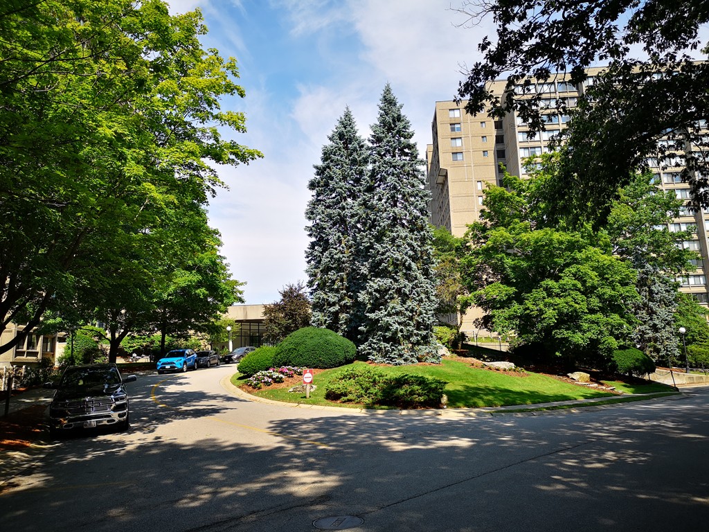 a view of a street with a tree