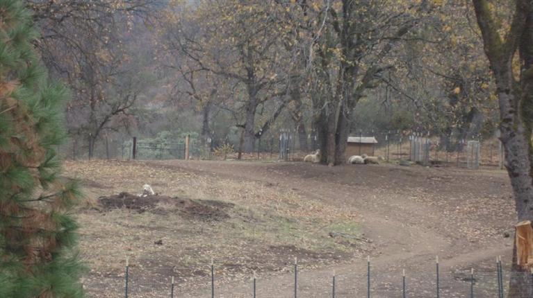 45901 Balch Park Road Springville, CA 93265 - Photo 33 of 35 Additional Photo