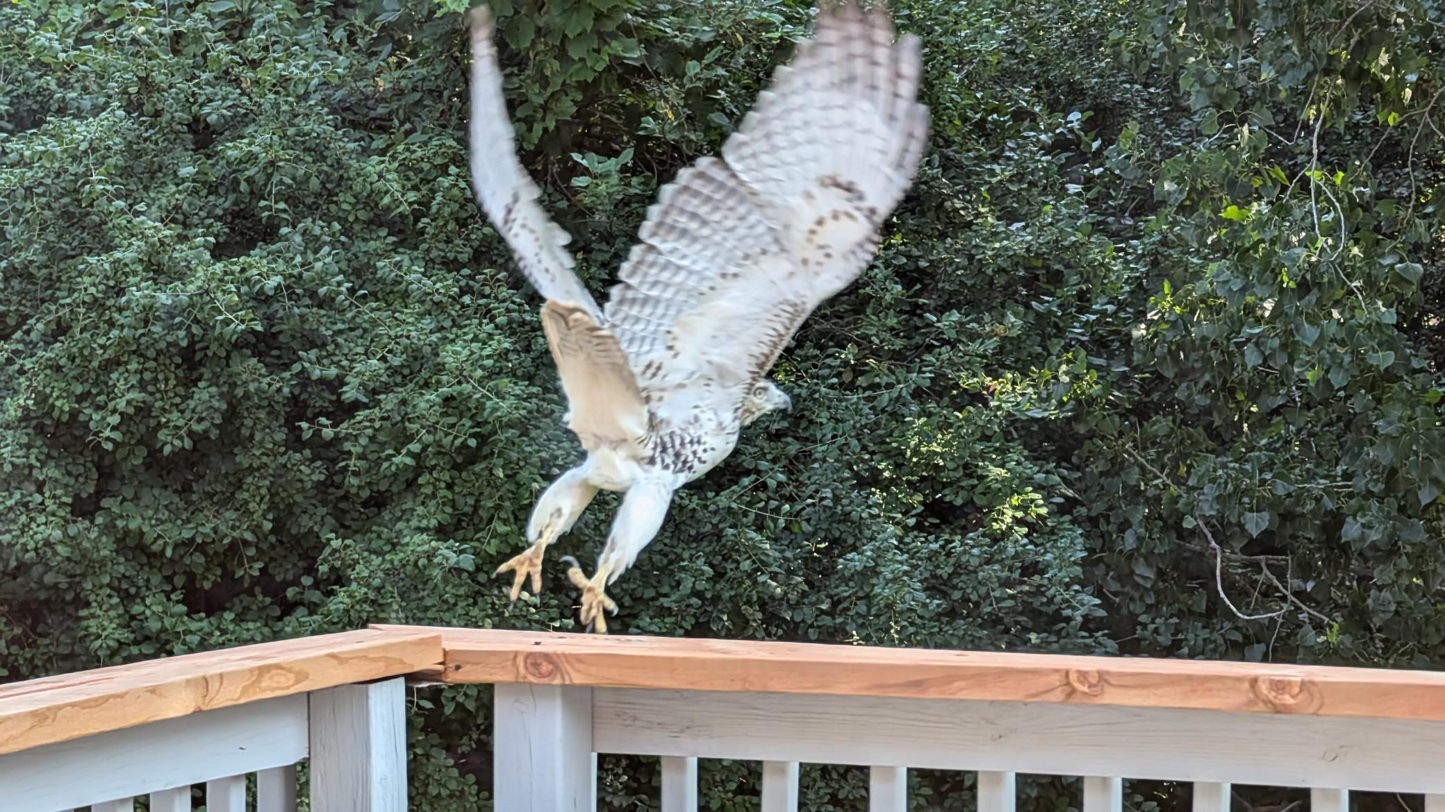 4584 Cinnamon Ridge Trail Eagan, MN 55122 - Photo 17 of 17