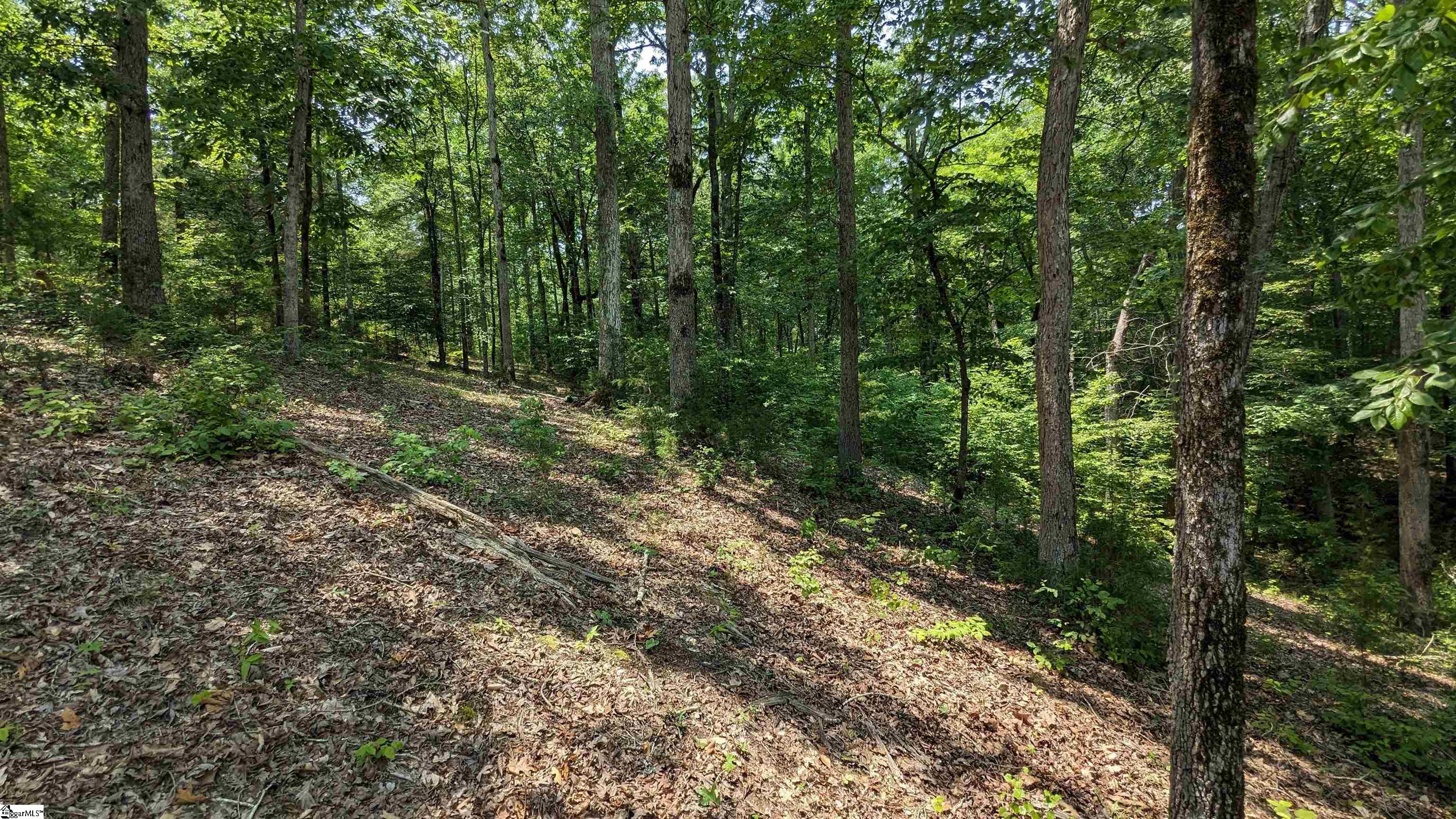 329 Terrapin Pointe Road, Unit POINTE Hodges, SC 29653 - Photo 12 of 16 Lot