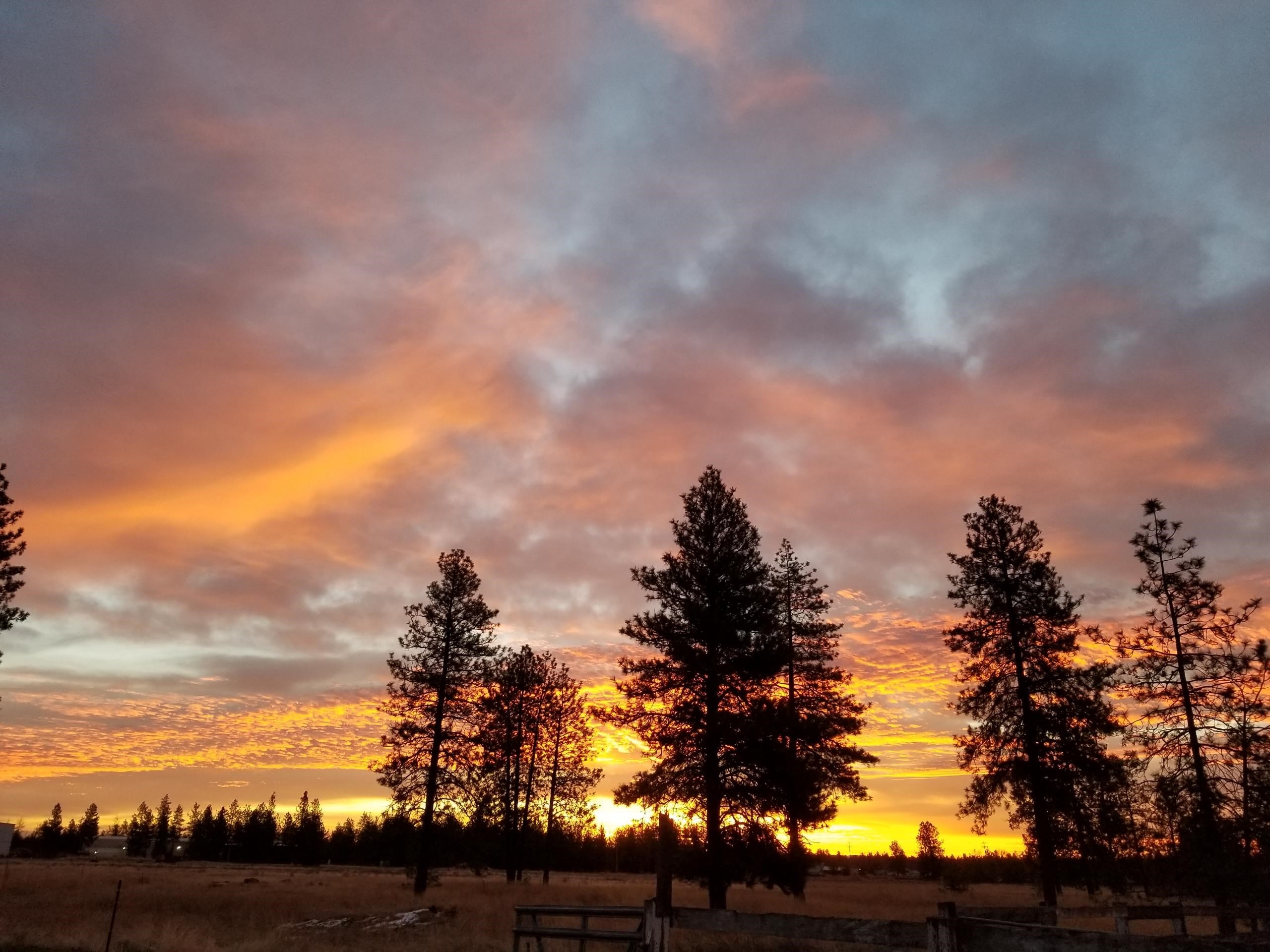 14313 Highway 904 Cheney, WA 99004 - Photo 45 of 49
