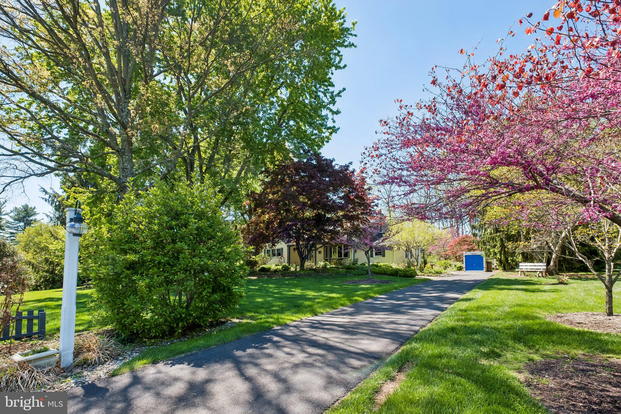 713 Alene Road Ambler, PA 19002 - Photo 3 of 40 a view of a yard with plants and large trees