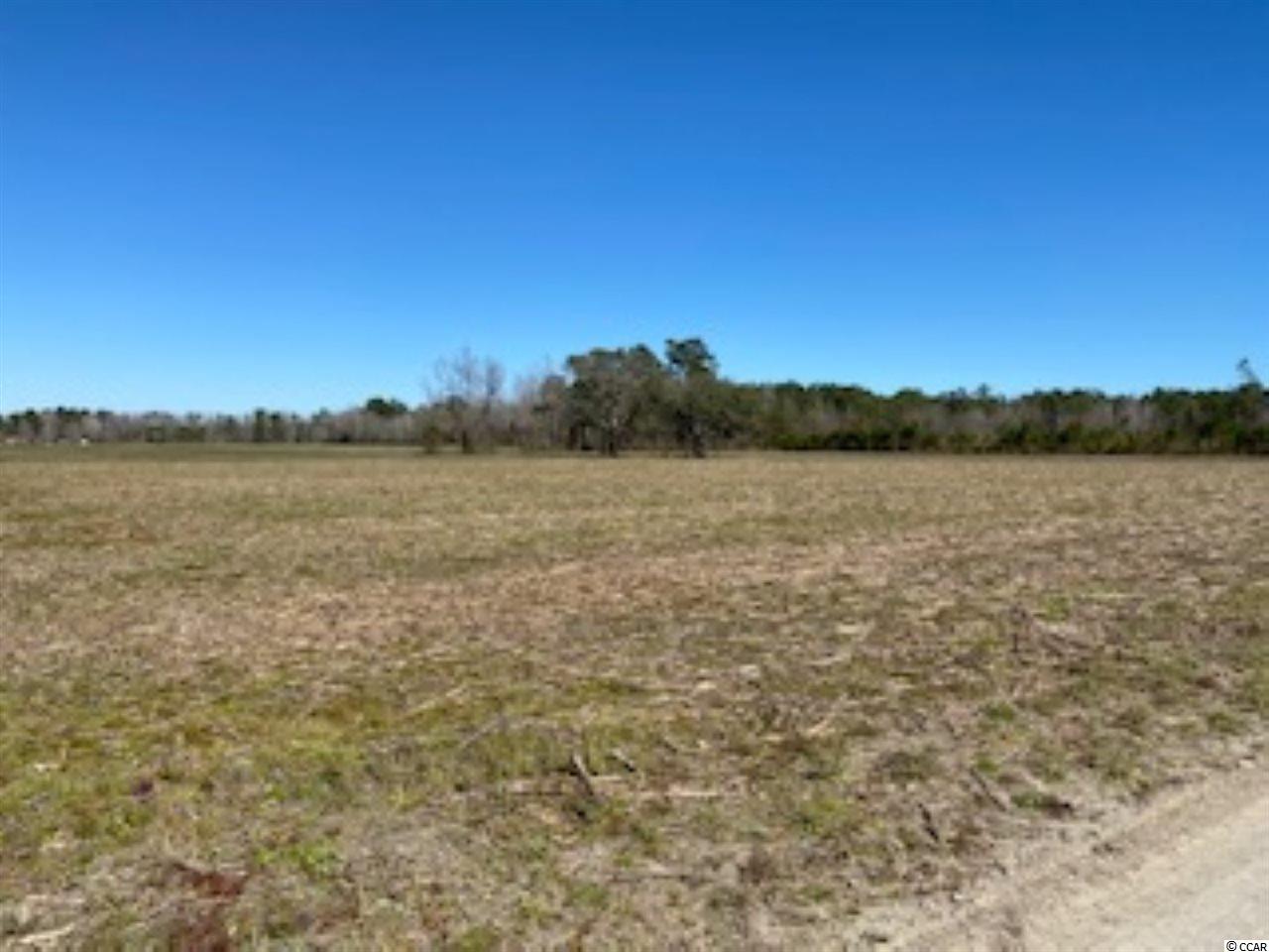 Lot B West Lot B W G Road Loris, SC 29569 - Photo 2 of 10 Gallery Image 2