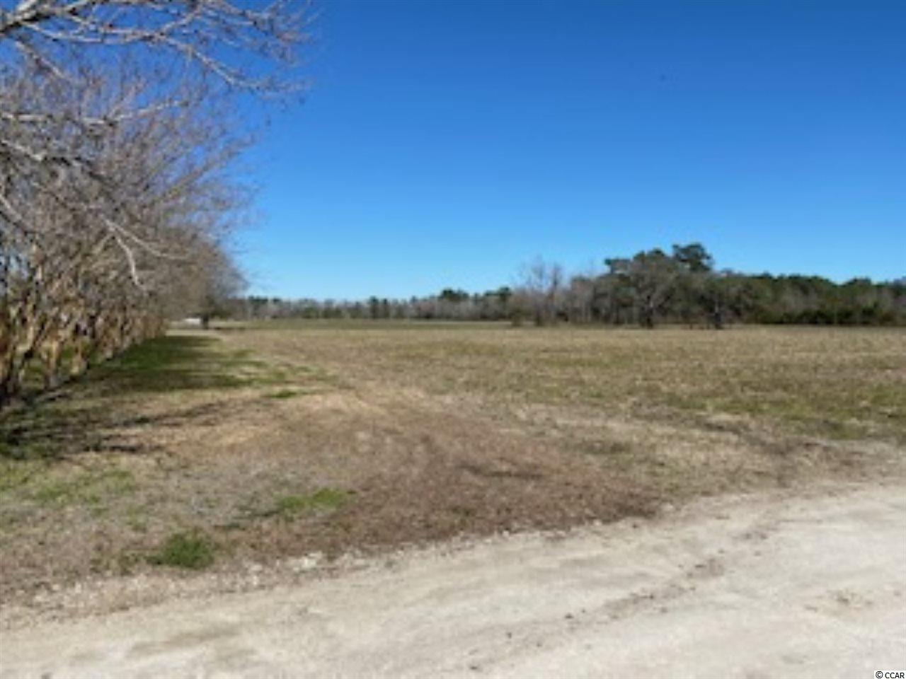 Lot B West Lot B W G Road Loris, SC 29569 - Photo 3 of 10 Gallery Image 3