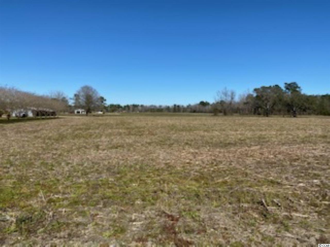 Lot B West Lot B W G Road Loris, SC 29569 - Photo 6 of 10 Gallery Image 6