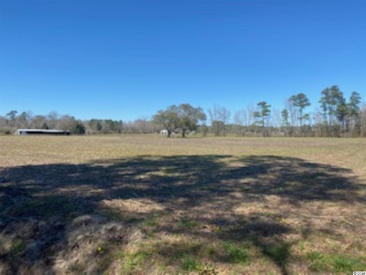 Lot B West Lot B W G Road Loris, SC 29569 - Photo 8 of 10 Gallery Image 8
