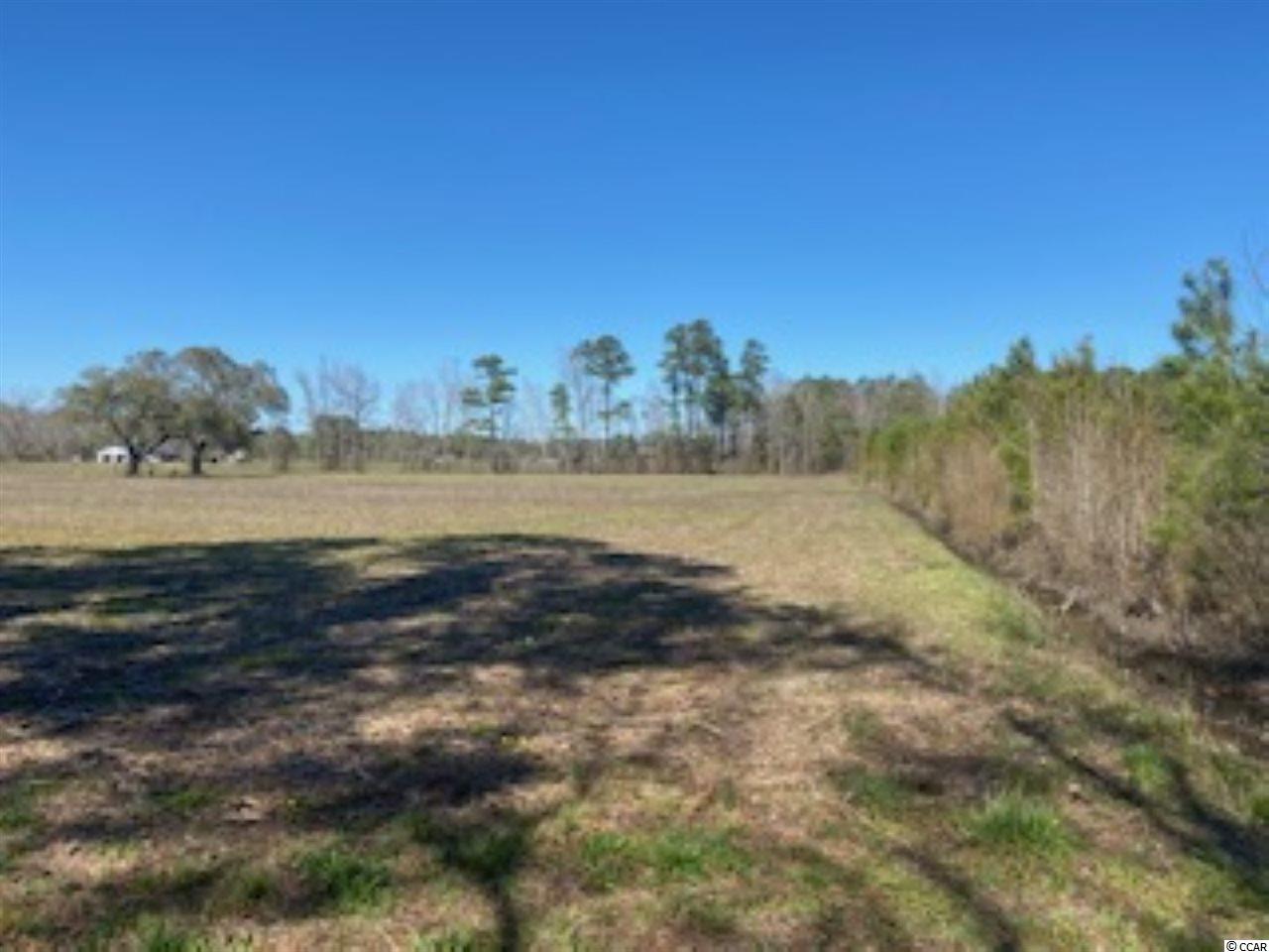 Lot B West Lot B W G Road Loris, SC 29569 - Photo 9 of 10 Gallery Image 9