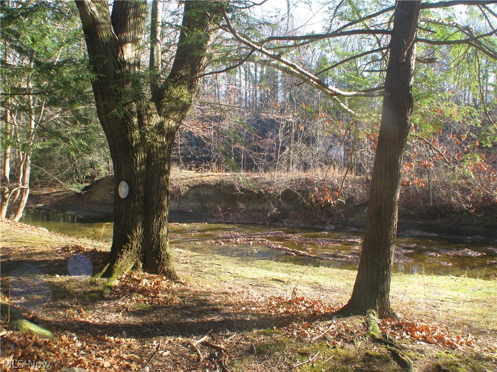 6921 Morley Road Painesville, OH 44077 - Photo 17 of 17 Back yard view