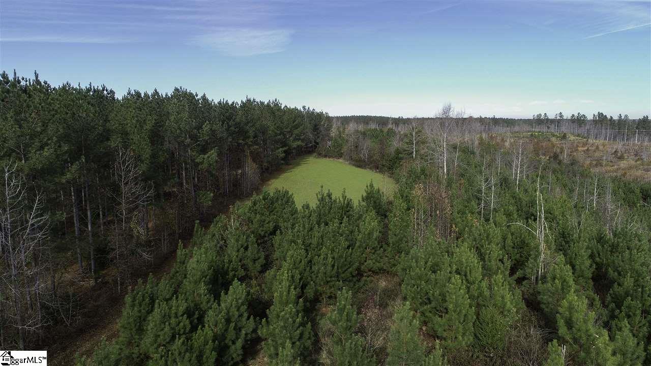 751 Latimer Mill Road Honea Path, SC 29654 - Photo 2 of 29