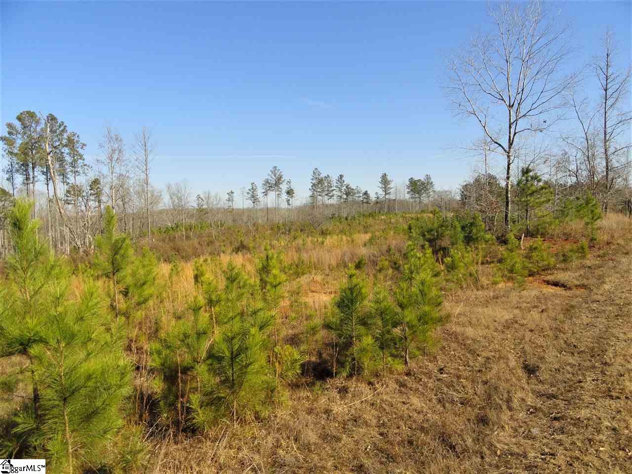 751 Latimer Mill Road Honea Path, SC 29654 - Photo 13 of 29
