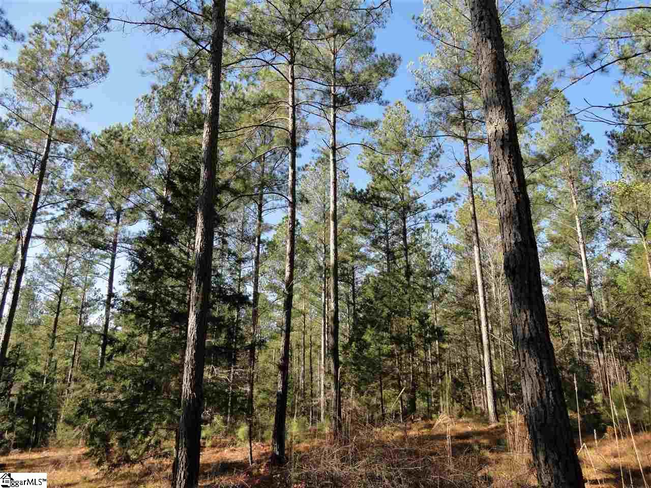 751 Latimer Mill Road Honea Path, SC 29654 - Photo 16 of 29