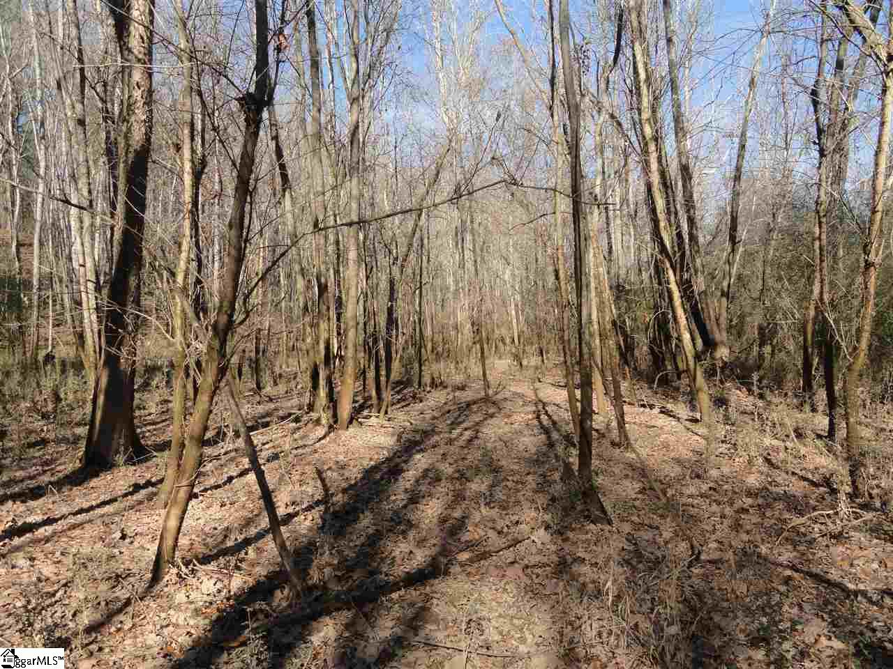 751 Latimer Mill Road Honea Path, SC 29654 - Photo 19 of 29