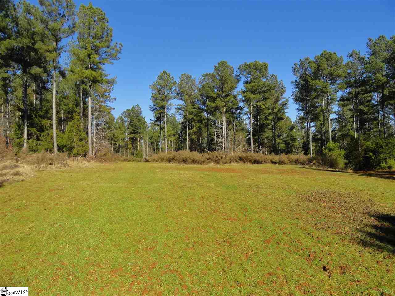 751 Latimer Mill Road Honea Path, SC 29654 - Photo 3 of 29