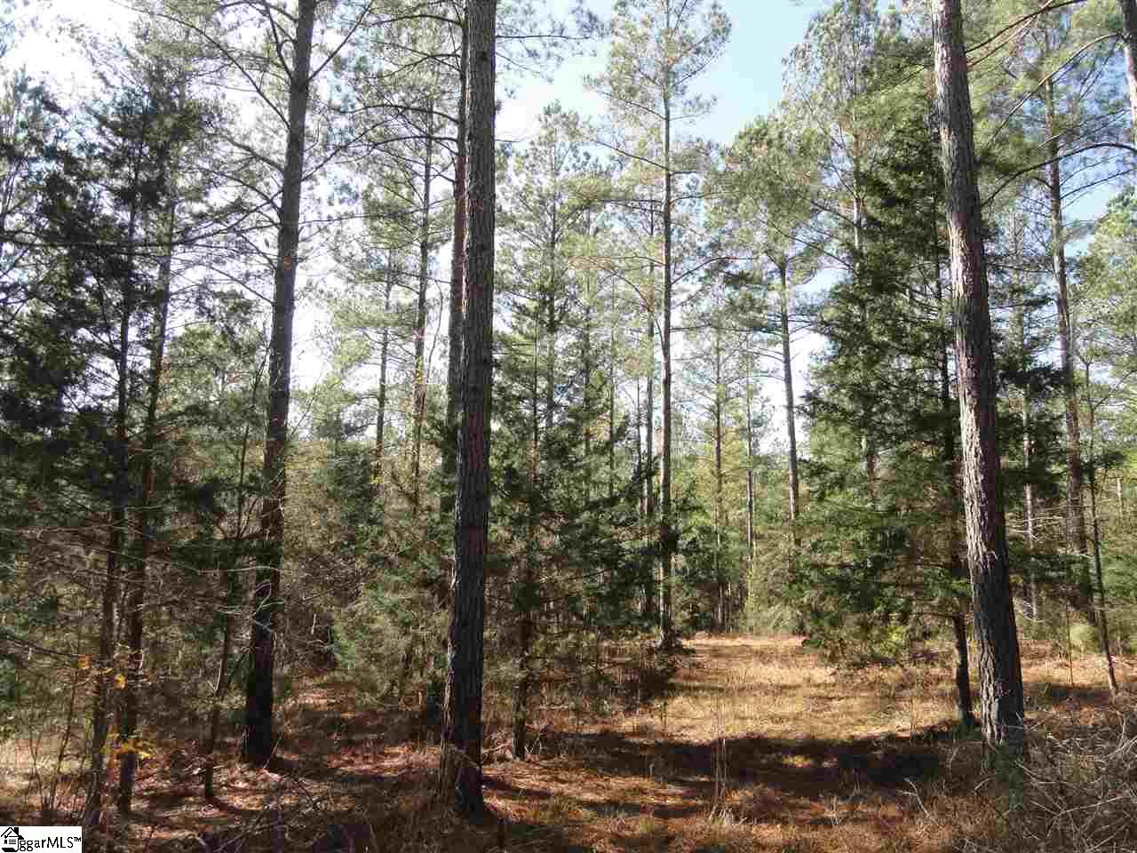 751 Latimer Mill Road Honea Path, SC 29654 - Photo 25 of 29