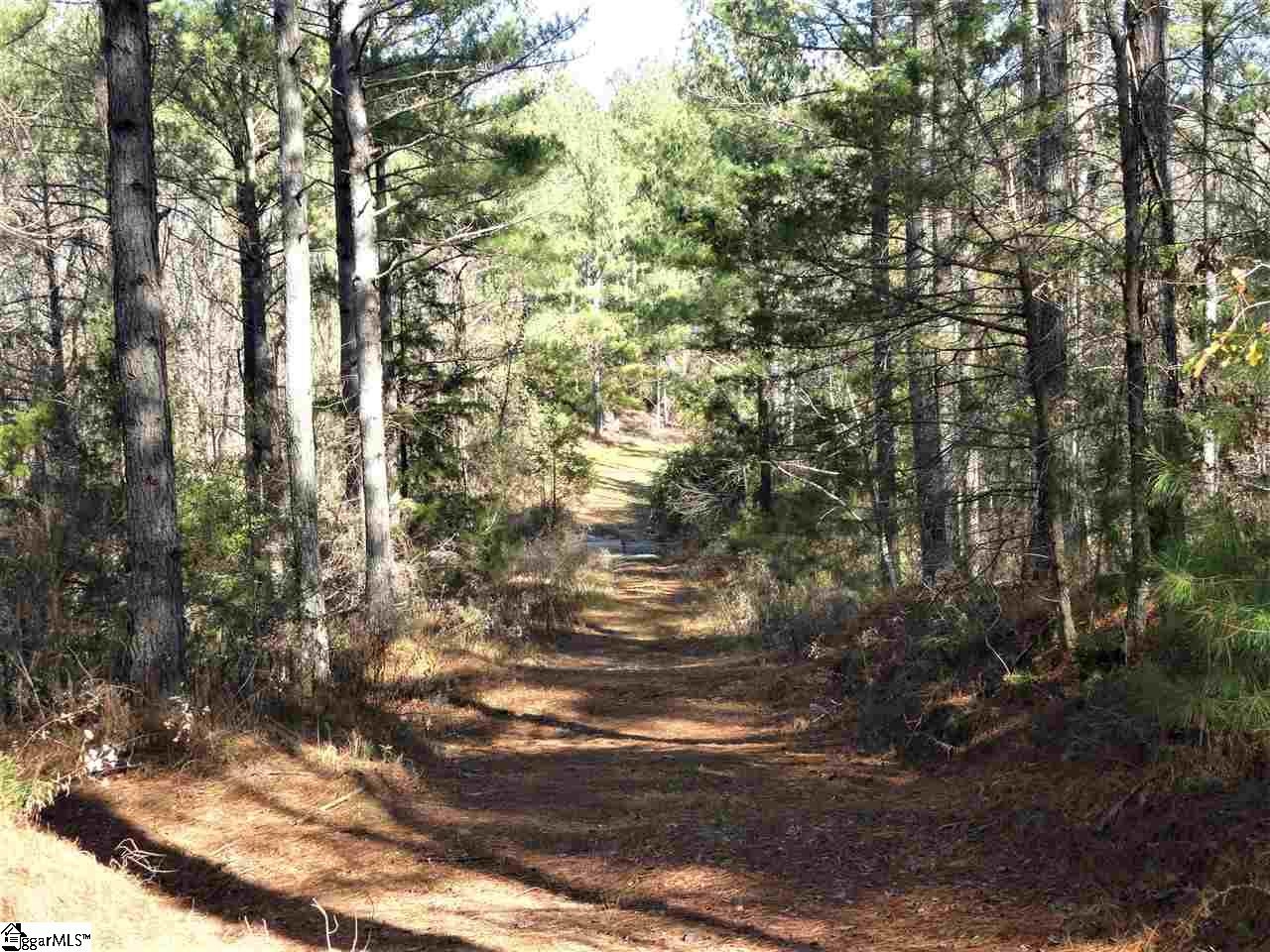 751 Latimer Mill Road Honea Path, SC 29654 - Photo 4 of 29