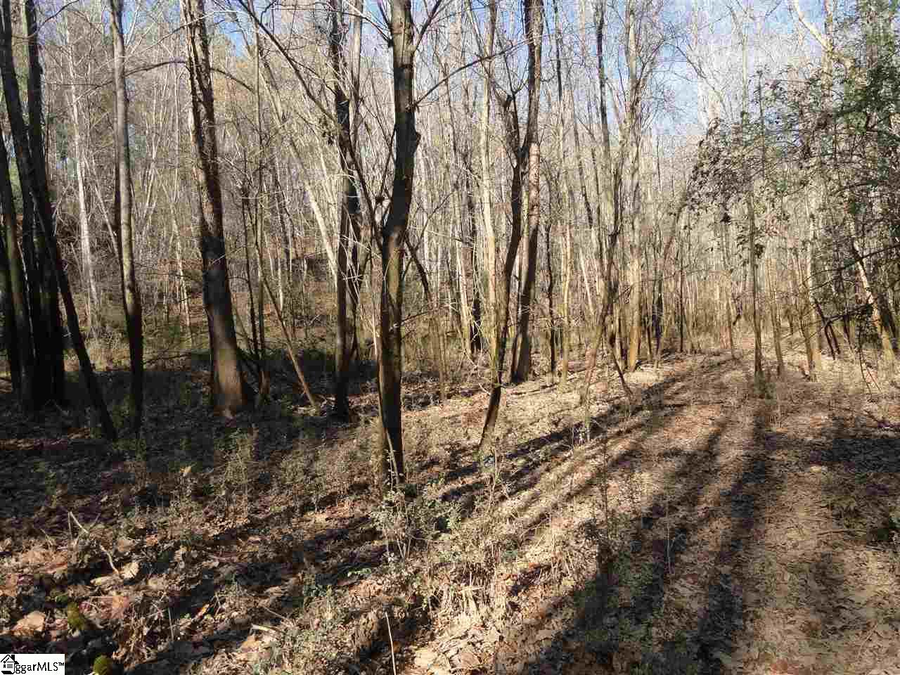 751 Latimer Mill Road Honea Path, SC 29654 - Photo 6 of 29