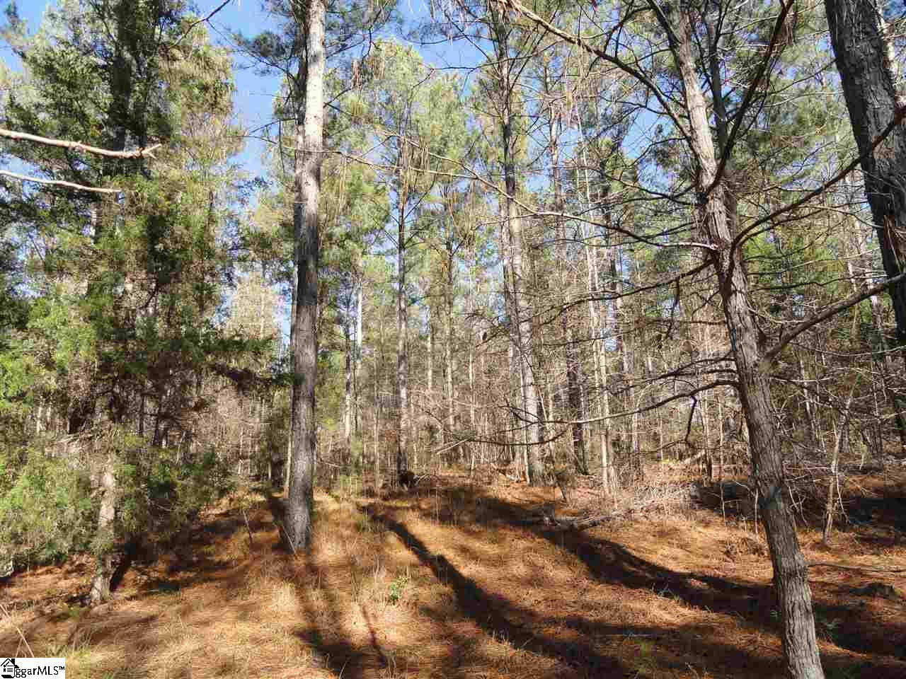 751 Latimer Mill Road Honea Path, SC 29654 - Photo 9 of 29