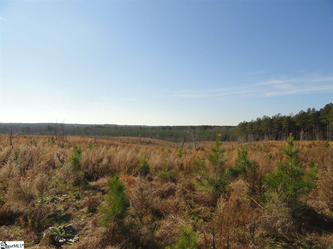 751 Latimer Mill Road Honea Path, SC 29654 - Photo 10 of 29
