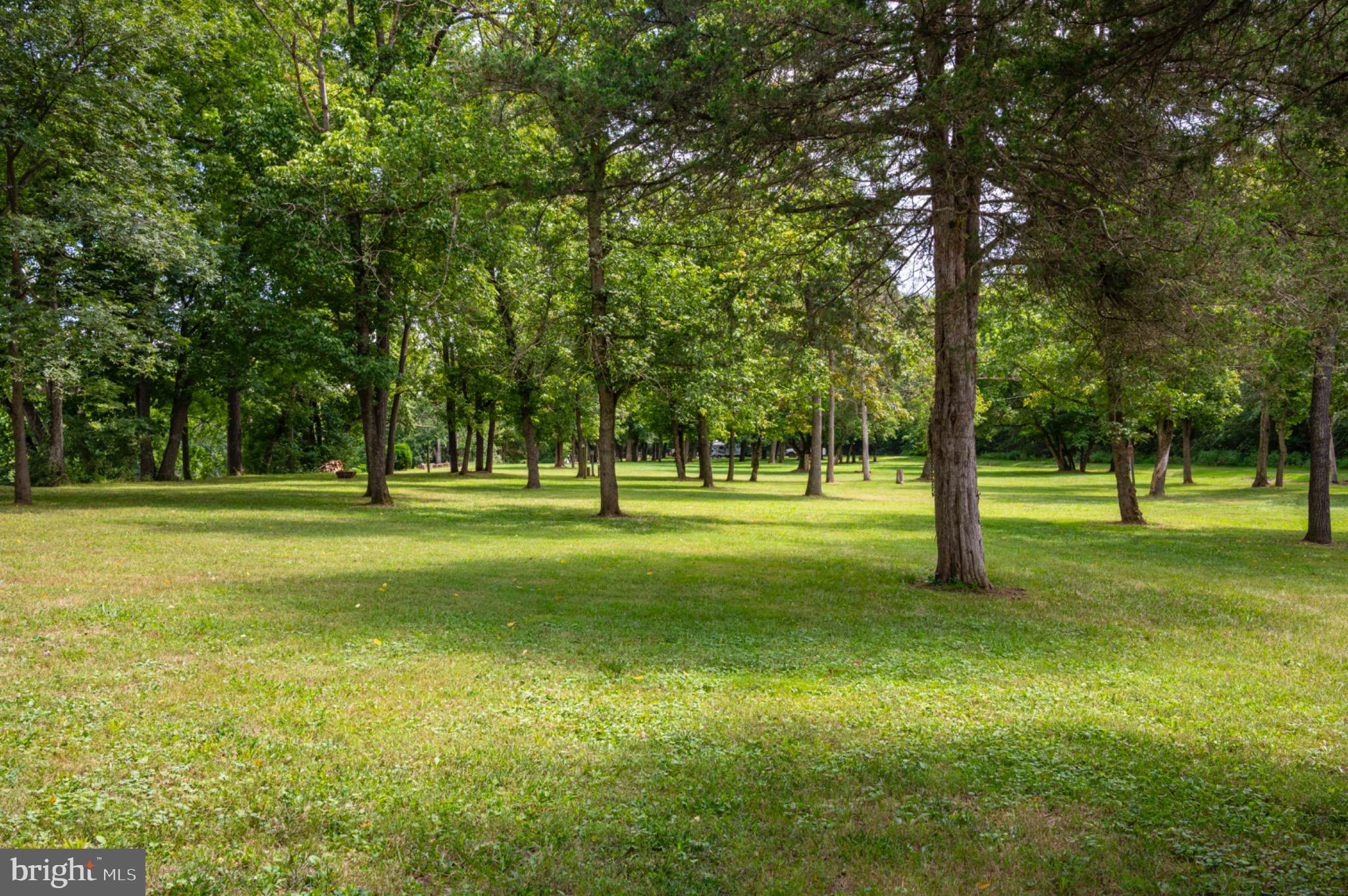 19 Burma Road Strasburg, VA 22657 - Photo 21 of 30 a view of a trees in a park