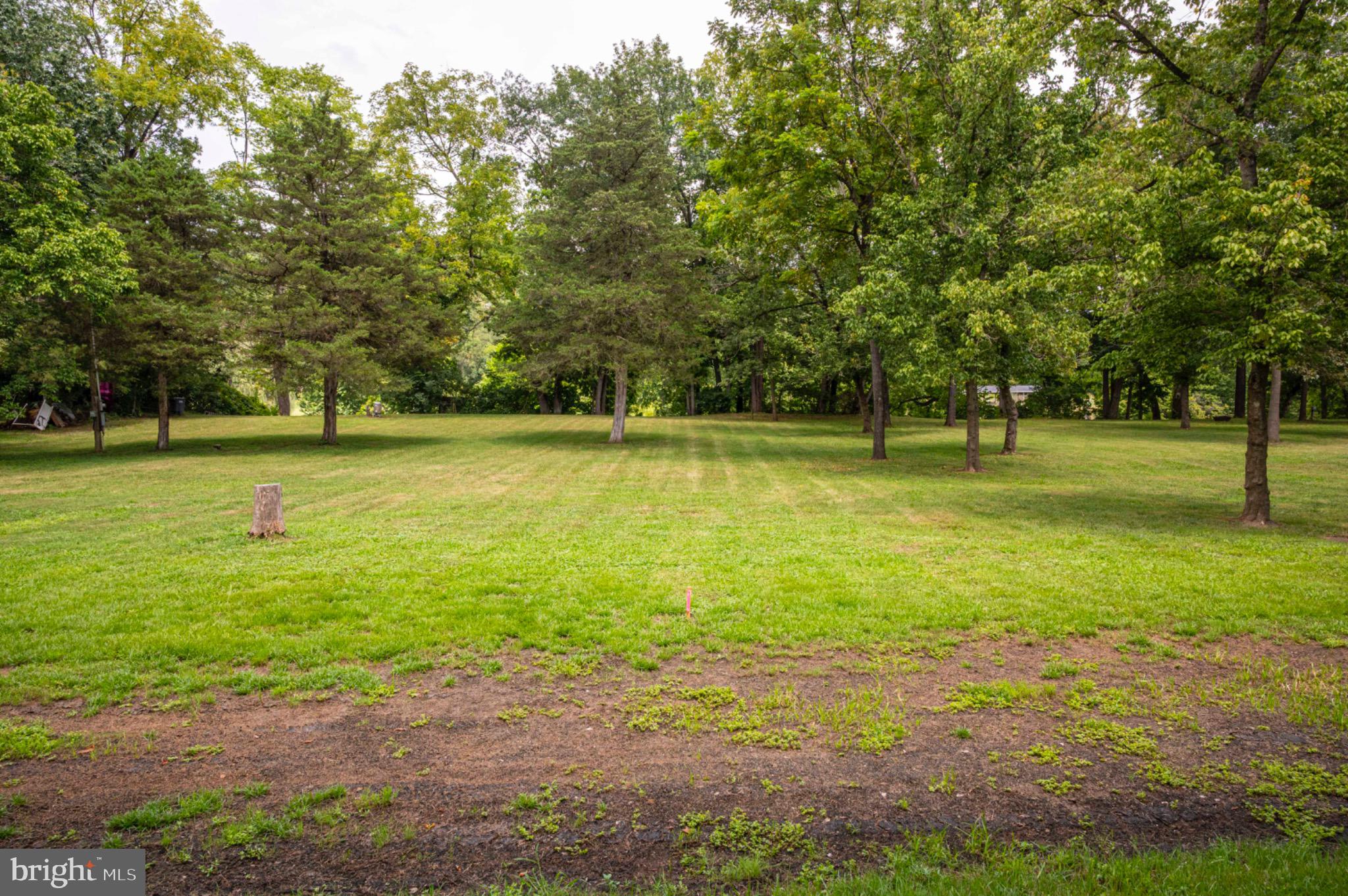 19 Burma Road Strasburg, VA 22657 - Photo 4 of 30 a view of a golf course with a lake