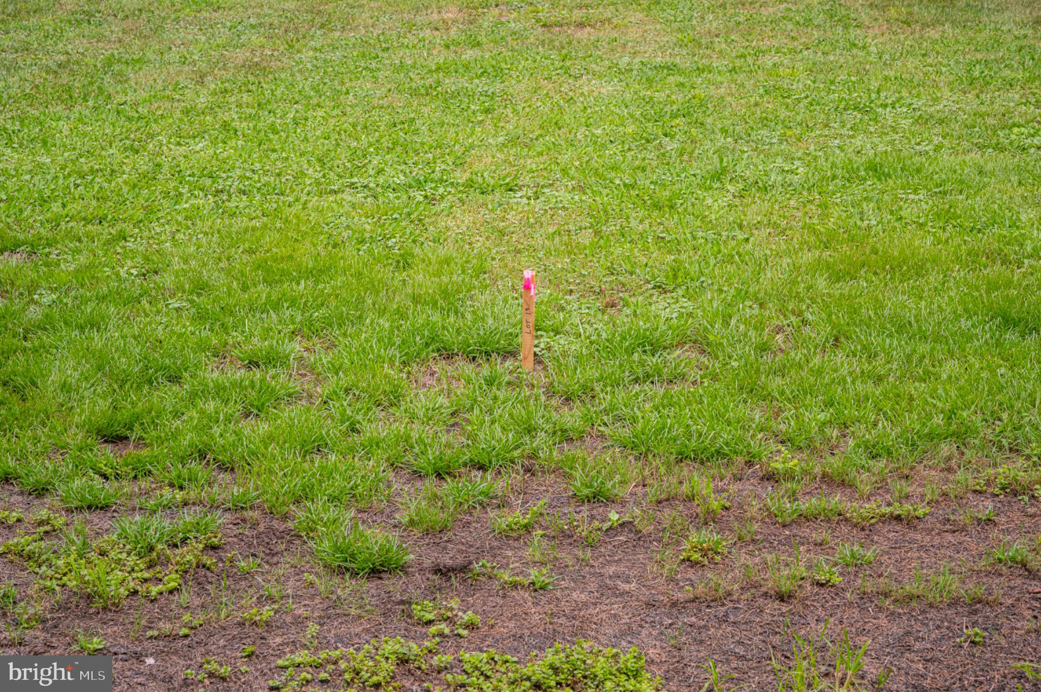 19 Burma Road Strasburg, VA 22657 - Photo 5 of 30 a backyard of a house with lots of plants