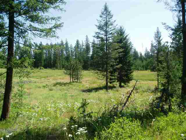 Xx Xx Stonebrook Way Springdale, WA 99173 - Photo 1 of 8