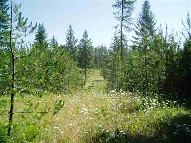 Xx Xx Stonebrook Way Springdale, WA 99173 - Photo 3 of 8