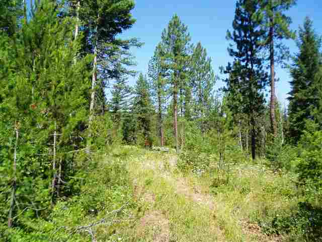 Xx Xx Stonebrook Way Springdale, WA 99173 - Photo 4 of 8