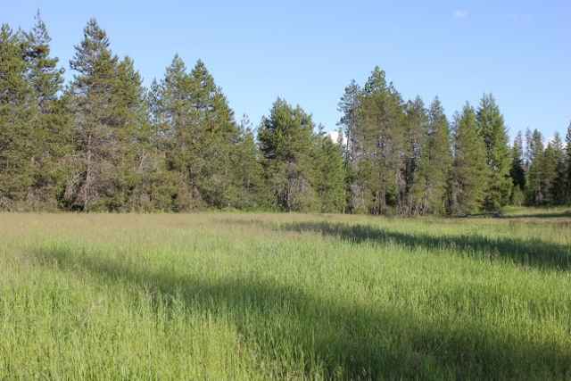 Xx Xx Stonebrook Way Springdale, WA 99173 - Photo 5 of 8