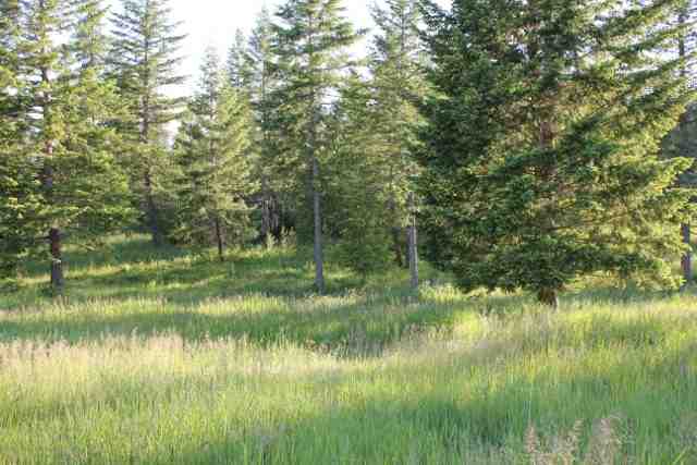 Xx Xx Stonebrook Way Springdale, WA 99173 - Photo 8 of 8